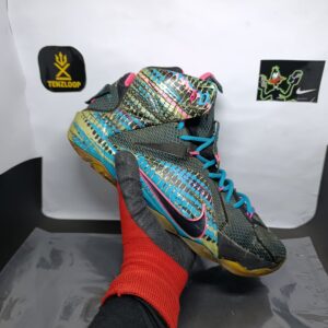 Nike Lebron 12 23 Choromosomes ❤️
Size 11 & 12 Pak 🇵🇰
